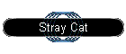 Stray Cat